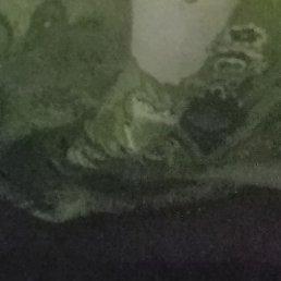 , , 46 