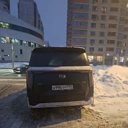 ���� �����, ������, 49 ��� - ��������� 14 ������ 2026