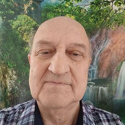 �������, ������, 71 ���