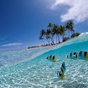 ���� �����, ����, 26 ��� - ��������� 10 ��� 2026 � ������ ���� ����������