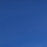 ����, 41 ���, �������