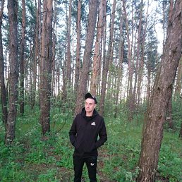, 29, 
