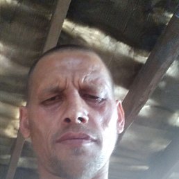 , 38,  