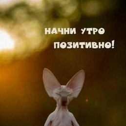 �����, �����, 37 ���