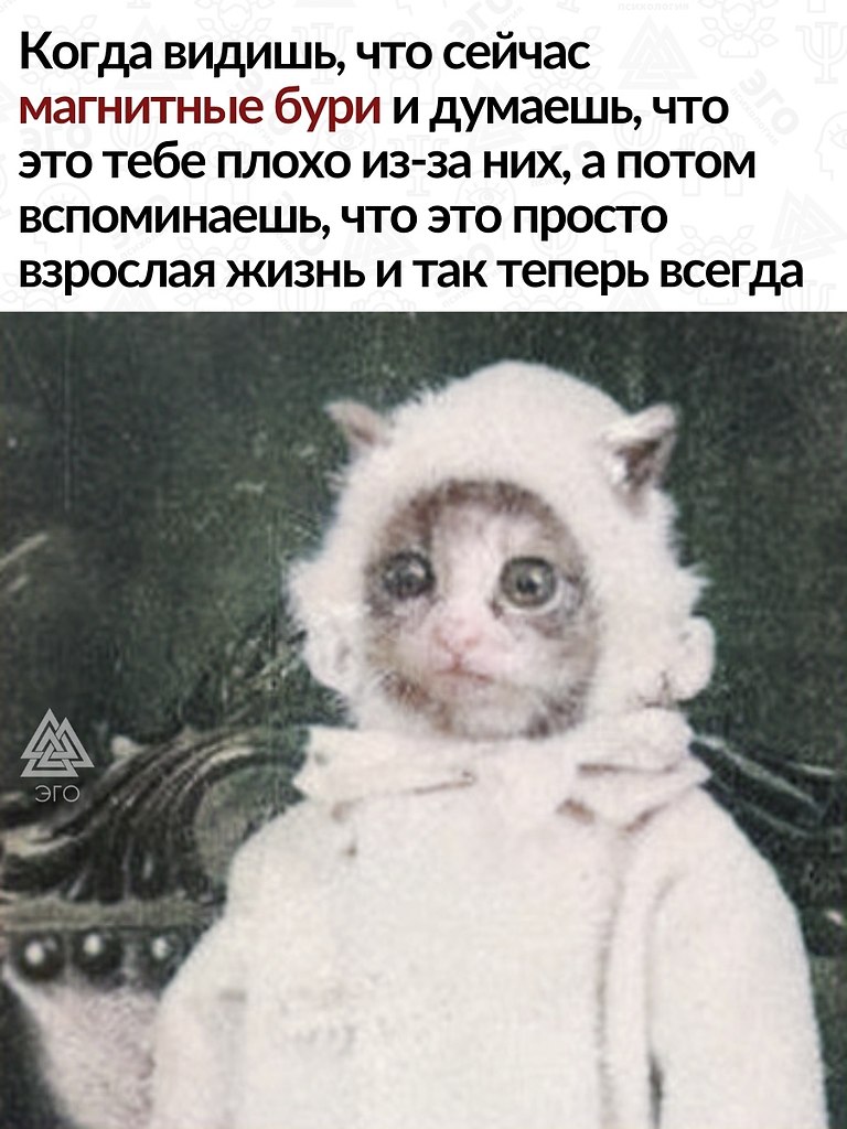      ,         ...