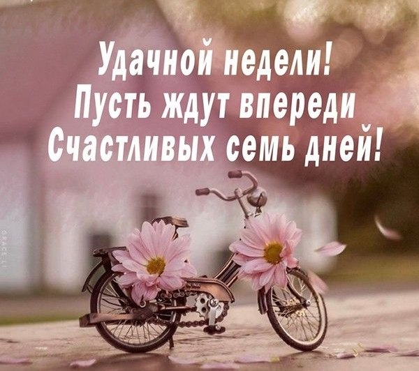 ����������� � ���������, �������� �� ������ ����. - 3 ��� 2026 � 23:55 - 3