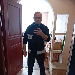 , 56, 