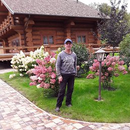 �������, �����������, 47 ���