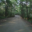 ���� ��������, ����, 48 ��� - ��������� 13 ������� 2023 � ������ ���� ����������