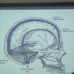 ����, ������, 58 ���