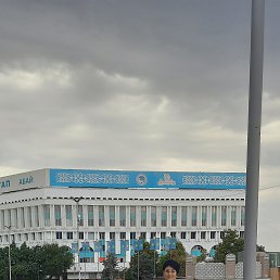 , 58, 