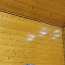 ���� ����, ������, 52 ���� - ��������� 20 ������� 2025 � ������ ���� ����������