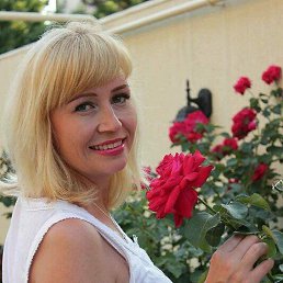 ��������, �����������, 50 ���