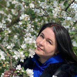 ��������, ������-��-����, 49 ���