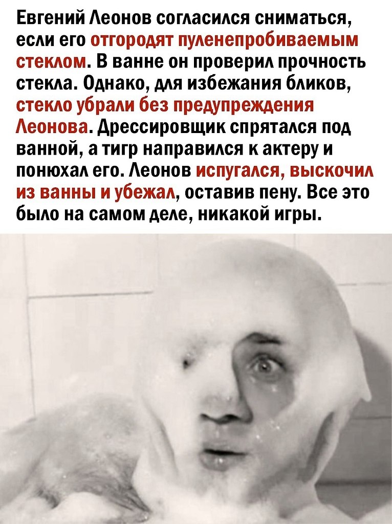      - 3