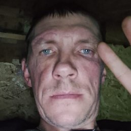 �������, ����, 41 ���