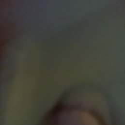 ���� ������, ������, 41 ��� - ��������� 30 ������� 2023