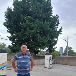 , 62, 
