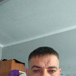 ����, 37 ���, ������