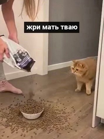 Cheers! |    - 26  2024  22:22 - 7
