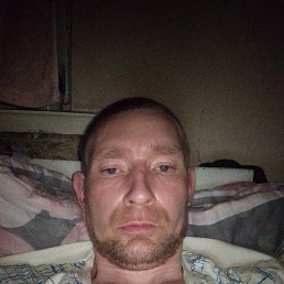 ����, 33 ����, ����������