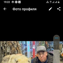 ����, ������, 35 ���