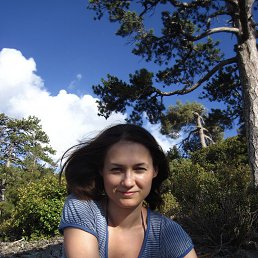 , 34 , 