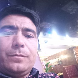 ���� �����, �����-���������, 41 ��� - ��������� 1 ������� 2023