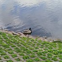 ���� ��n��, ������� �����, 44 ���� - ��������� 18 ������� 2026 � ������ �����������