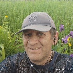, 51, -