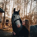 ���� ������, �����, 31 ��� - ��������� 7 ������ 2026 � ������ ���� ����������
