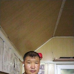 , 37, 