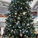 ���� ������., �����, 70 ��� - ��������� 13 ������ 2024 � ������ ���� ����������