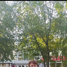 �������, ������ ��������, 51 ���