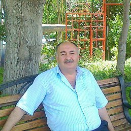 , 67, 