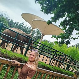 ����, 18 ���, �������