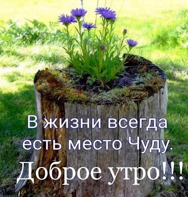 ���� �������� ������� - 5 ���� 2026 � 07:55