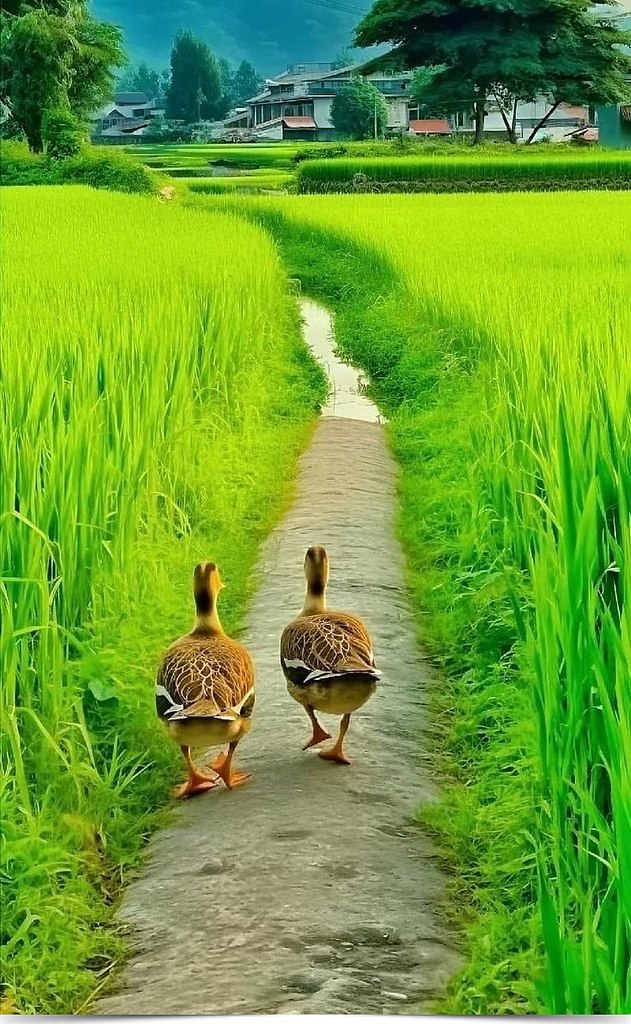  ... :).------------------------------- - 2