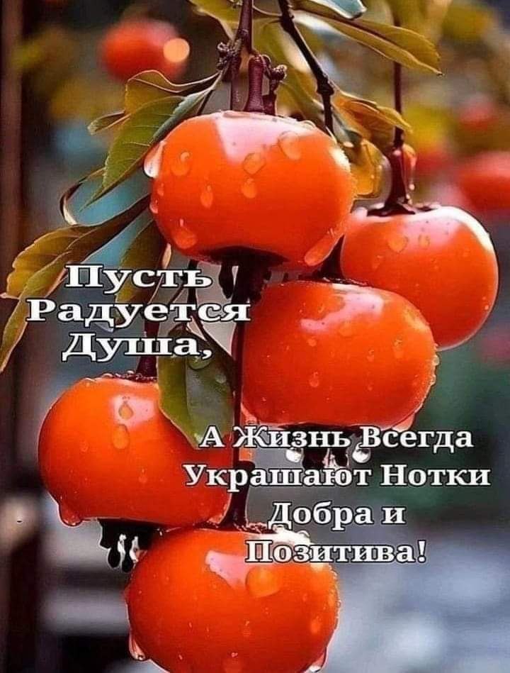   - 19  2024  05:39
