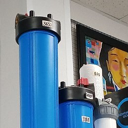 ������, ������, 40 ���