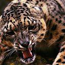  Kristov, , 28  -  23  2023    