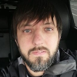 ������, ������, 41 ���