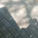 ���� ������, ���������, 33 ���� - ��������� 3 ������� 2026