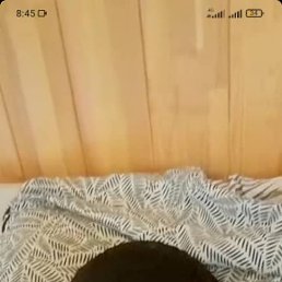 ������, 40 ���, ����