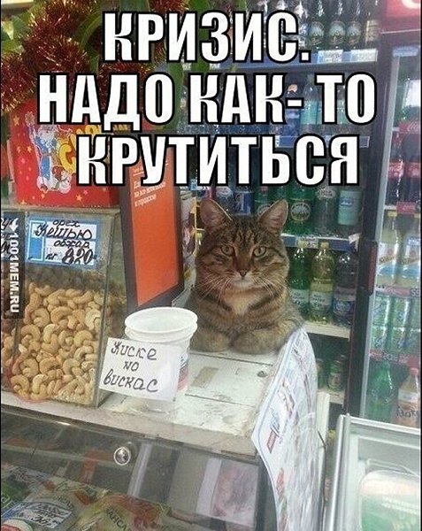 �����? ��, �� �������! - 12 ���� 2025 � 00:47