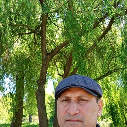 , 52, 