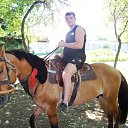 ���� ����, ������, 40 ��� - ��������� 8 ����� 2025 � ������ ���� ����������