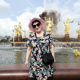 , 65, 