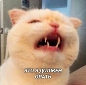 ��� ���� � ����� �� �� - 11 ������� 2025 � 13:03 - 3
