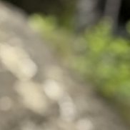, 27 , 